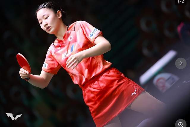 球迷和媒体 球迷和媒体